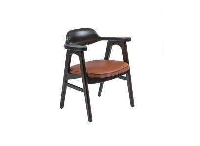 Esszimmer Stuhl mit Armlehnen Schwarz Holzstuhl Neu Möbel Design Sitz