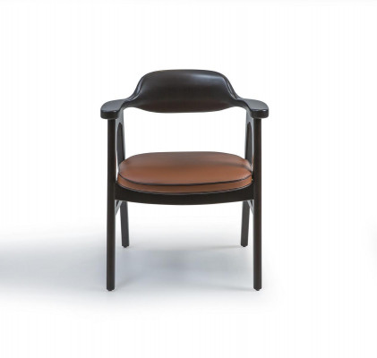 Esszimmer Stuhl mit Armlehnen Schwarz Holzstuhl Neu Möbel Design Sitz