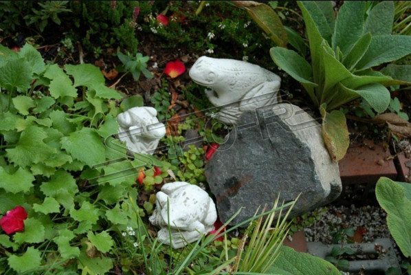 Garten Dekoration Frosch Terrasse Stein Figuren Figur Deko Statue