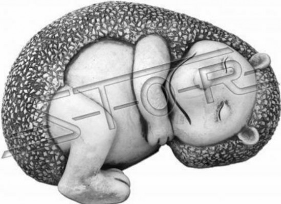 Garten Dekoration Igel Terrasse Stein Karikatur Figuren Figur Deko Statue