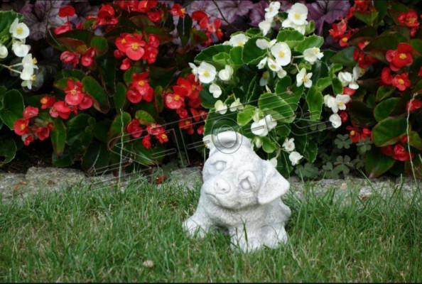 Garten Dekoration Weiß Hund Terrasse Stein Figuren Dekorative Statue Figur