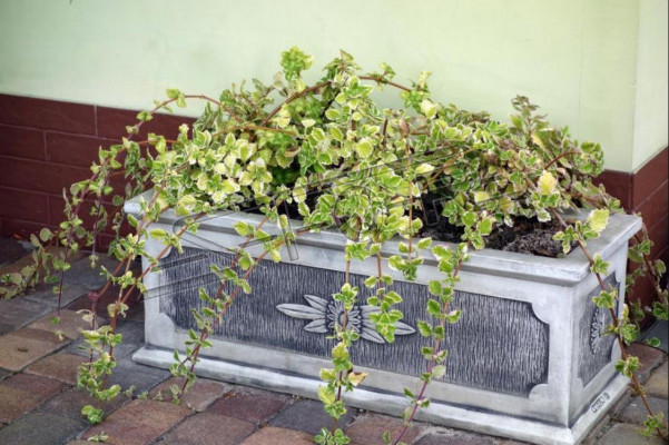 Blumenkübel Pflanz Kübel Dekoration Natur Figur Vasen Garten Blumentöpfe