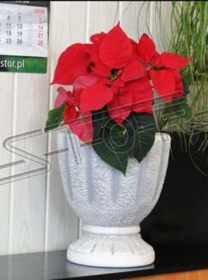 Design Blumentopf Top Deko Planz Kübel Gefäß Töpfe Figur Gesicht Skulptur