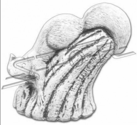 Garten Dekoration Eichhörnchen Terrasse Stein Deko Figuren Figur Statue