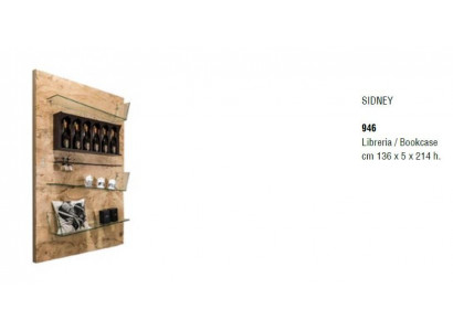 Design Trenn Wand Regal Wohn Zimmer Schränke Edelstahl Regale Bücher Schrank Neu