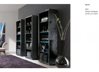 Wohn Zimmer Schränke Regale Bücher Schrank System Möbel Design Trenn Wand Regal