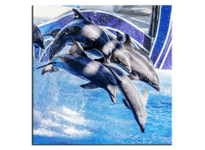 Bild Bilder Gemälde Druck Kunstdruck Polster Kultur " Abstrakt " Delphin G93442