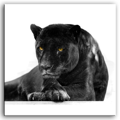 Bild Bilder Gemälde Druck Kunstdruck Polster Kultur " Abstrakt " Puma G92856