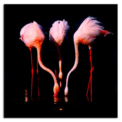 Abstraktes Designer Bild Bilder Abstrakt Gemälde mit Keilrahmen Kunst 93296