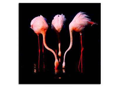 Abstraktes Designer Bild Bilder Abstrakt Gemälde mit Keilrahmen Kunst 93296