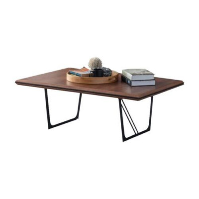 Couchtisch Kaffeetisch Sofatisch Beistelltisch Holz Braun Holztisch