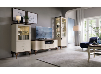 Klassische Wohn Deko Wand Wohnzimmer Vitrine Sideboard RTV Regal Wände