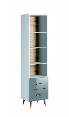 Bücherregal Vitrine Vitrinenschrank Glasschrank Klassische Schrank Bücherschrank