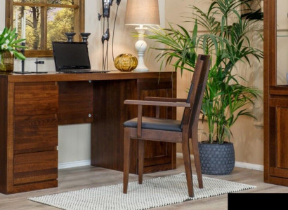 Tisch Schreibtisch Holztisch Computertisch Massivholz Bürotisch Büromöbel Tische