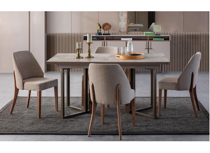 Garnitur Esszimmer Essgruppe Essecke Esstisch Stühle Holz Grau 7tlg