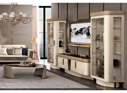 Wohnwand Set 4tlg. Wohnzimmer rtv Vitrine Regal Modern Garnitur Gruppe Holz tv