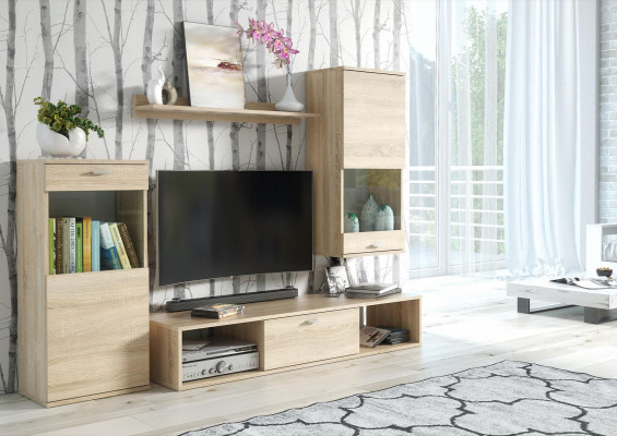 Wohnwand Modern Vitrine TV-Ständer Wohnzimmer Wand Regale Neu