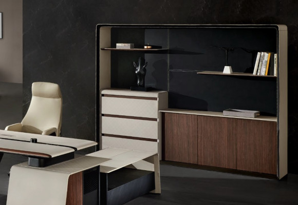 Aktenschrank Bücherregal Regale Deko Schrank Luxus Büro Möbel Schränke