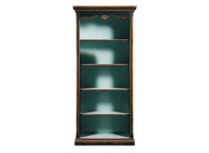 Regal Schrank Bücherschrank für Büro Bücherregal Braun Hochschrank Echtholz Neu