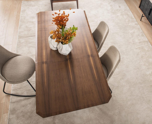 Esszimmertisch Esstisch Tisch Essecke Esszimmer 205 cm Holz Braun