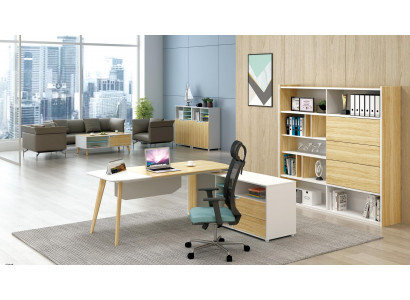 Aktenschrank Bücherregal Regale Schrank Luxus Büro Möbel Deko Schränke