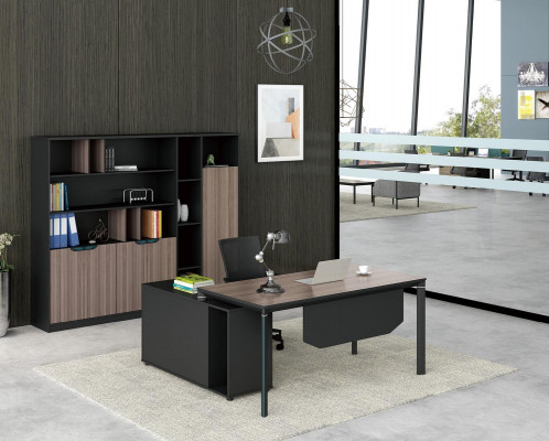Aktenschrank Bücherregal Regale Schrank Luxus Deko Büro Möbel Schränke