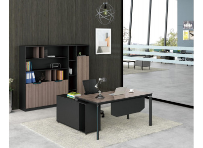 Aktenschrank Bücherregal Regale Schrank Luxus Deko Büro Möbel Schränke