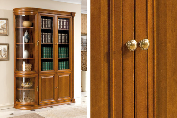 Klassische Schrank Bücherschrank Bücherregal Vitrine Vitrinenschrank Glasschrank