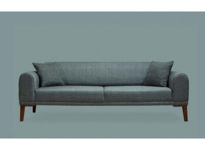 Luxuriös Modern Sofa 3 Sitzer Design sofa Dreisitzer Polster Holz