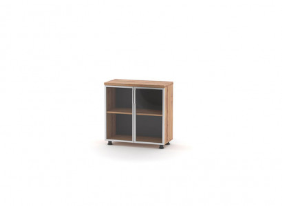 Aktenschrank mit Glastüren Braun Einfarbig Einlegenboden Arbeitszimmer